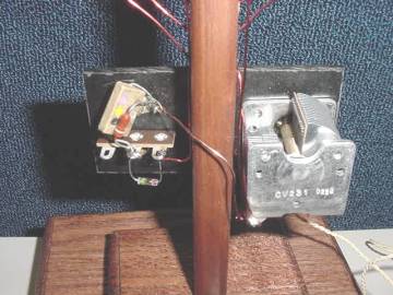 Crystal Loop Radio The Guts!