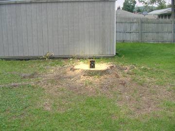 Dave's #33 Crystal Radio 1 tree = 1 box