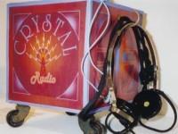 Melissa's crystal loop antenna radio